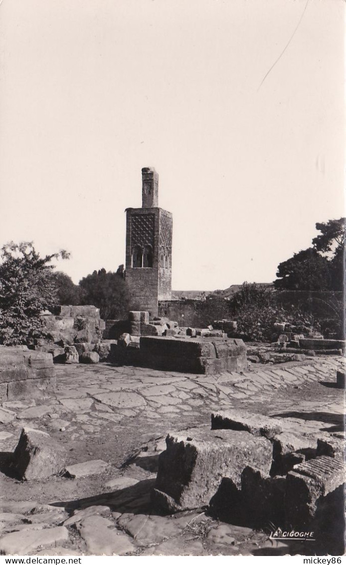 Maroc --RABAT --Chella - Les Ruines Du Forum ........... - Rabat