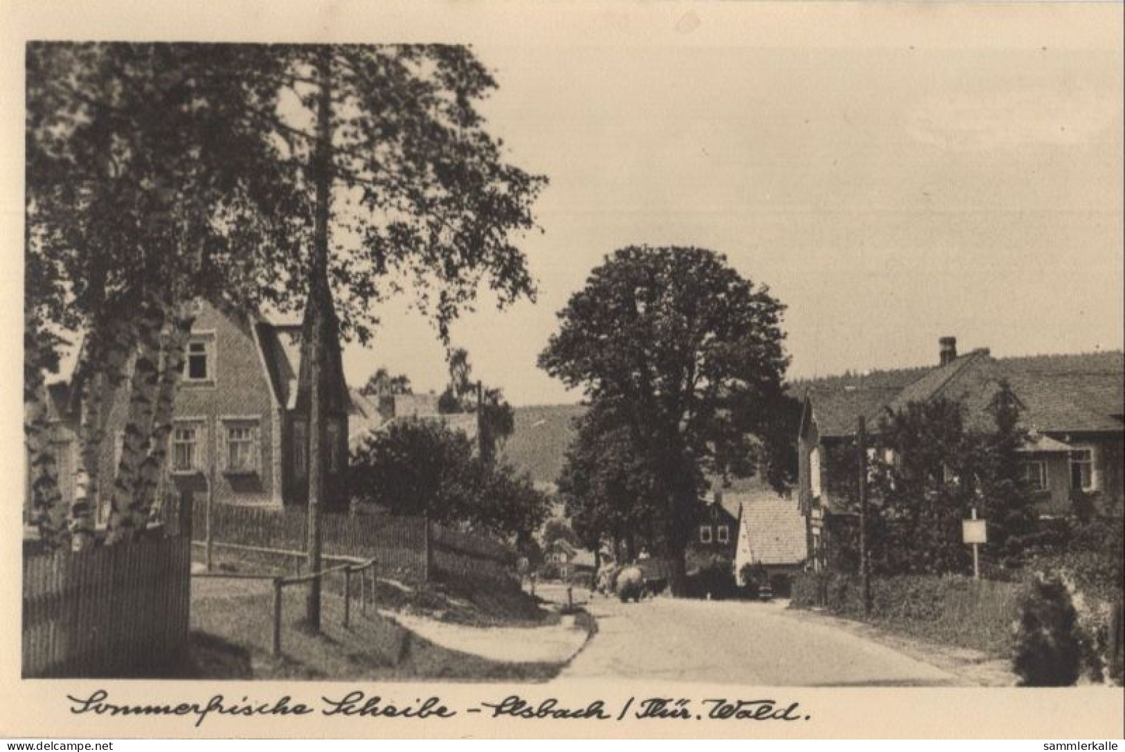 125779 - Scheibe-Alsbach - Strassenbild - Neuhaus