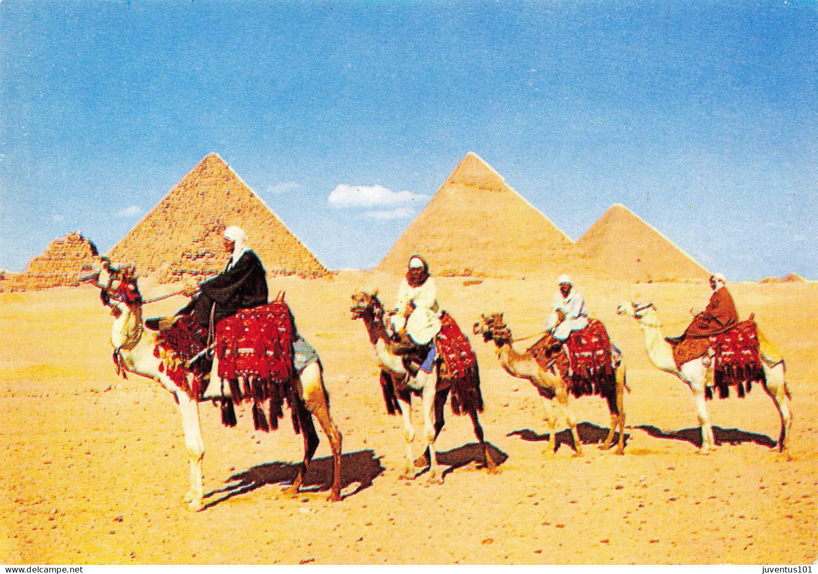 CPSM Giza-Arob Comelriders In Tront Of The Pyramids      L2758 - Gizeh