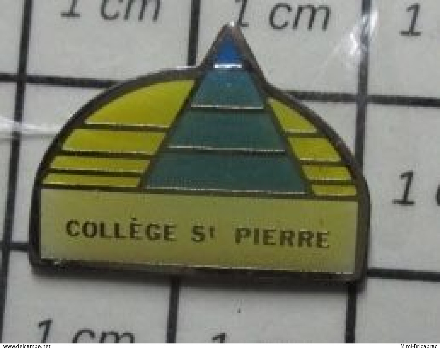 712e Pin's Pins / Beau Et Rare / Thème ADMINISTRATIONS / COLLEGE ST PIERRE - Administrations