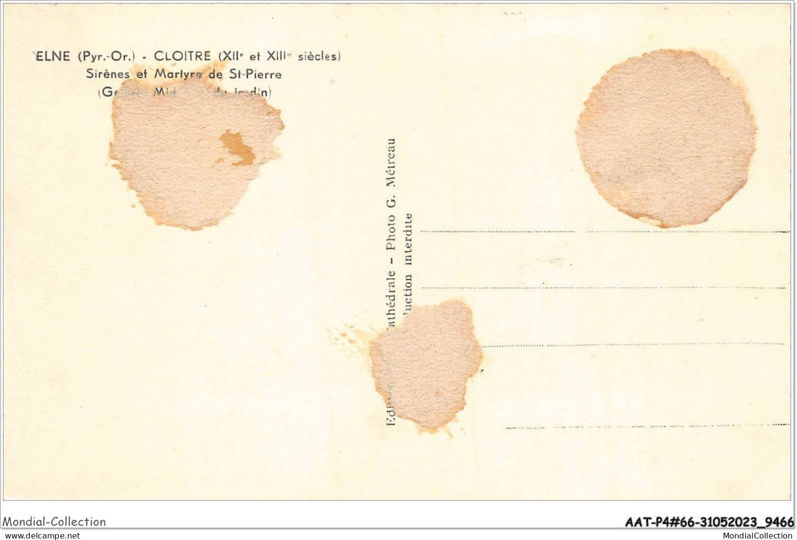 AATP4-66-0276 - ELNE - Cloitre - Sirènes Et Marlyrs De Saint-Pierre - Elne