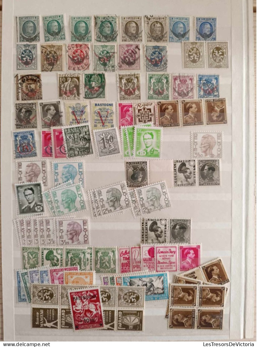 Belgique - Timbres Colis Postaux - Taxe - Chemin De Fer - Lot De Timbres Neufs Et Oblitérés - Timbres