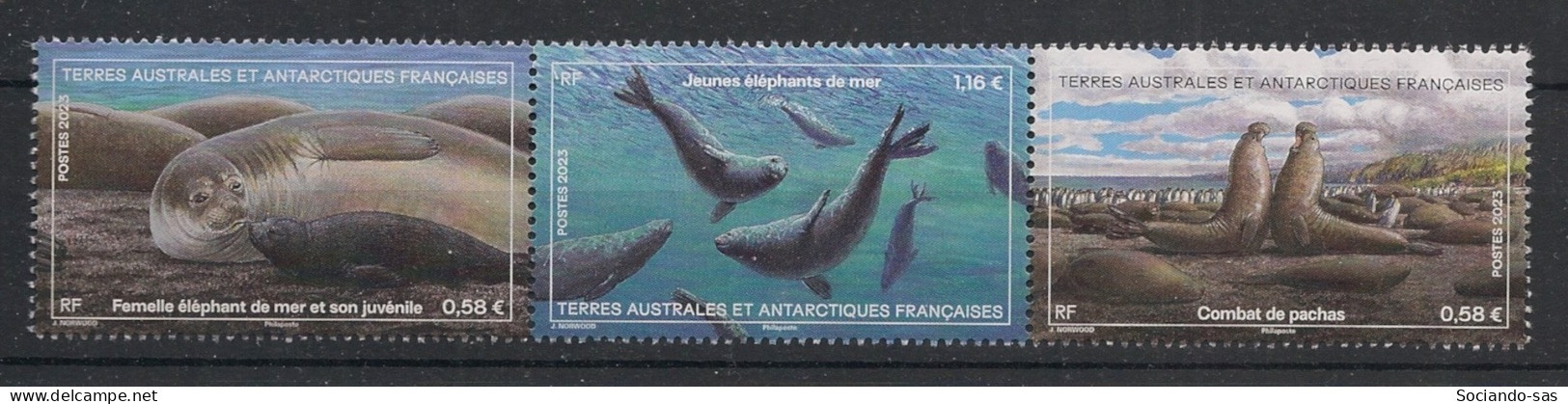 TAAF - 2023 - N°YT. 1046 à 1048 - Eléphant De Mer - Neuf Luxe ** / MNH / Postfrisch - Unused Stamps