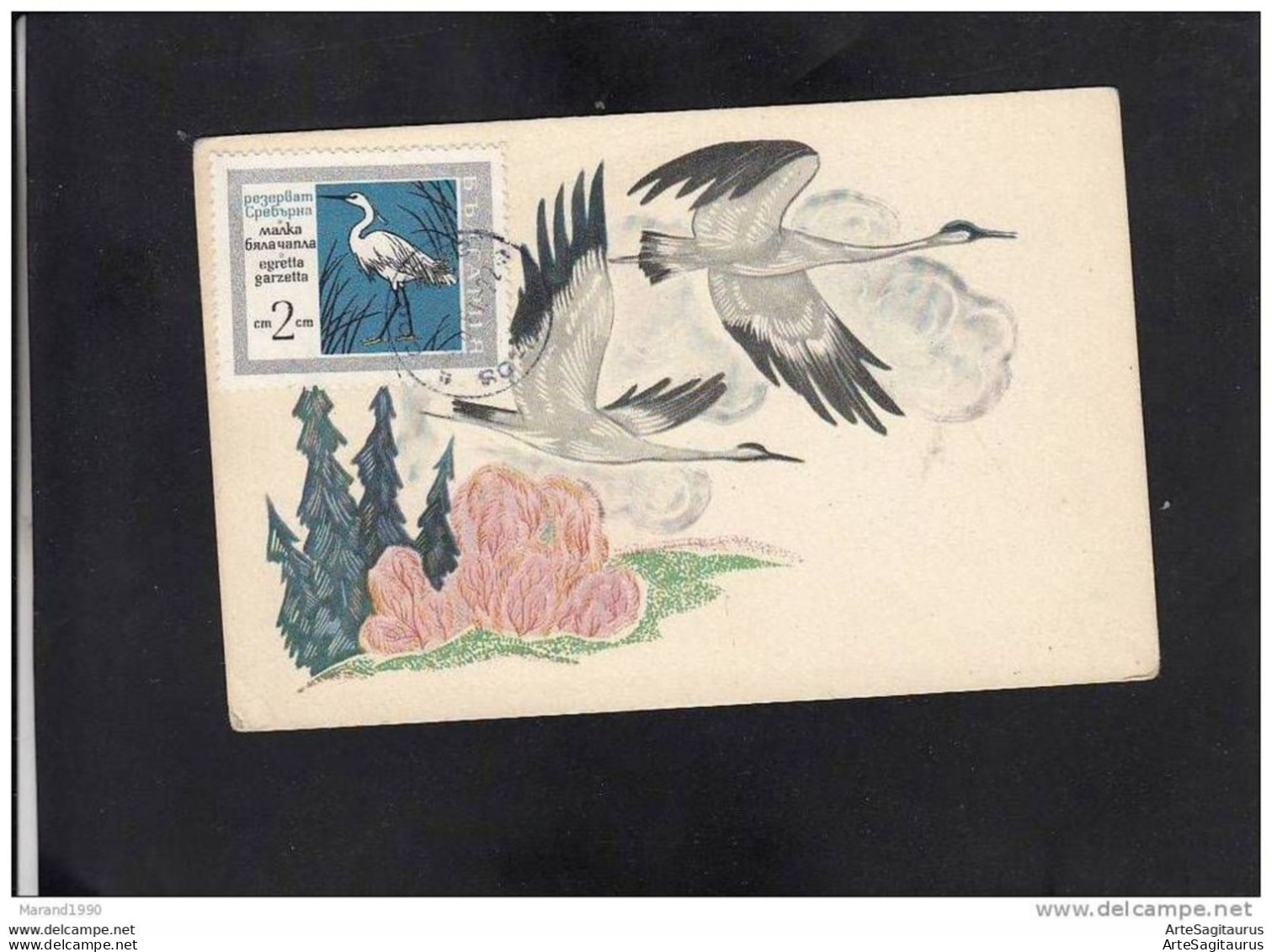 BULGARIA, CARTE MAXIMUM - BIRDS-Egretta Garzeta # - Gru & Uccelli Trampolieri