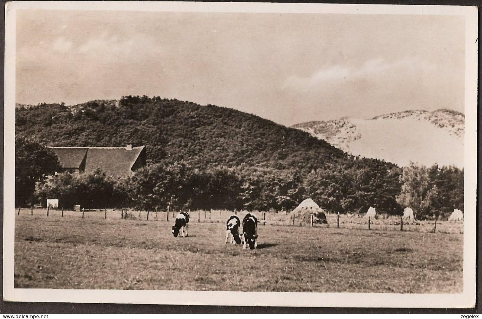 Schoorl - Omgeving Broederschapshuis - 1954 - Schoorl