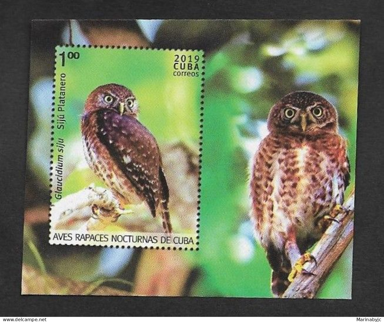 SE)2019 CUBA  FROM THE FAUNA SERIES, NIGHT BIRDS OF PREY OF CUBA, OWL, MEMORY LEAF, MNH - Otros & Sin Clasificación