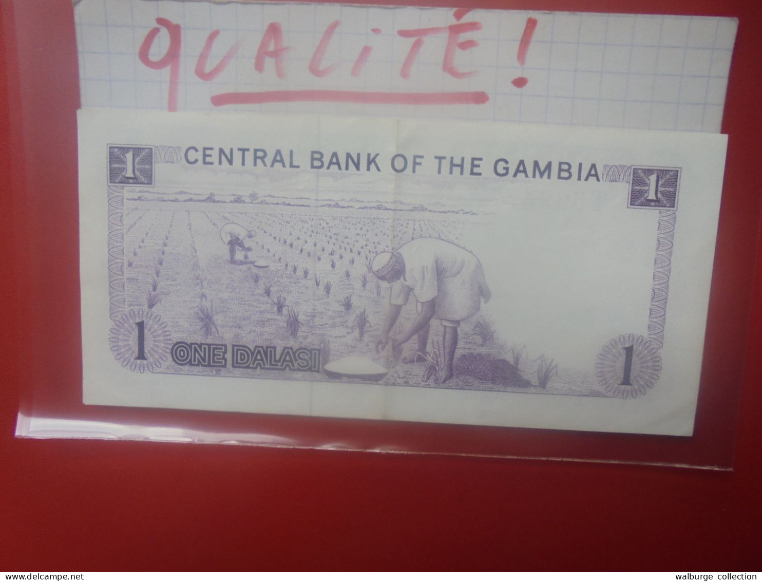 GAMBIE 1 DALASI 1971-87 Signature N°8 Circuler Belle Qualité COTES:9-14,5$ (B.33) - Gambia