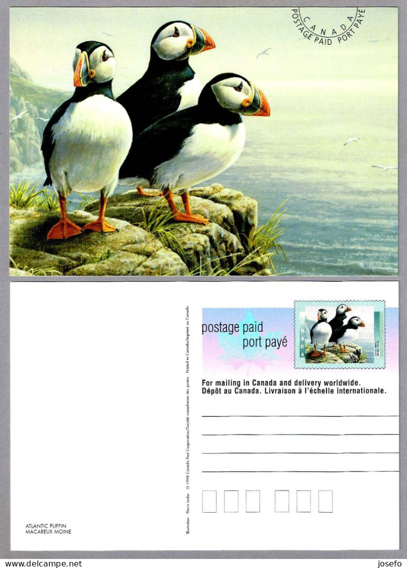 ATLANTIC PUFFIN - FRAILECILLO - MACAREUX MOINE. Tarjeta Entero Postal Canada - Albatrosse & Sturmvögel