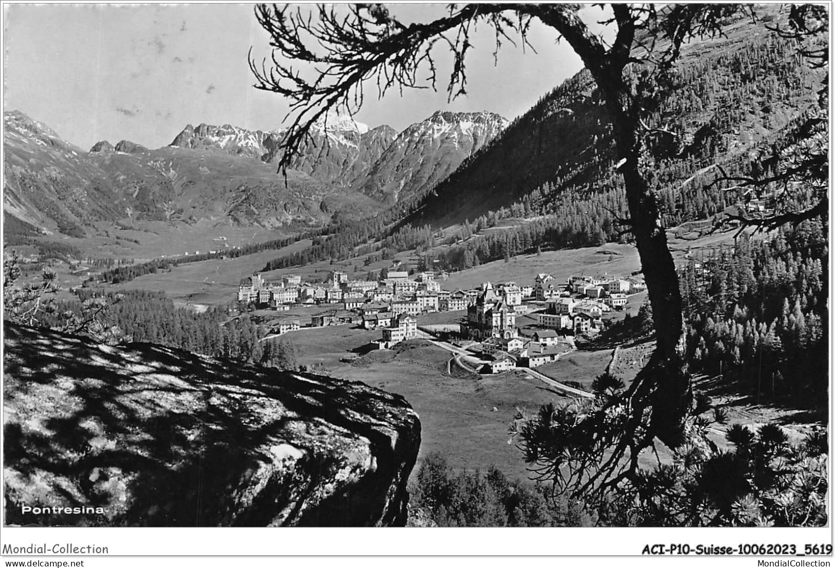 ACIP10-SUISSE-0778 - PONTRESINA - Pontresina