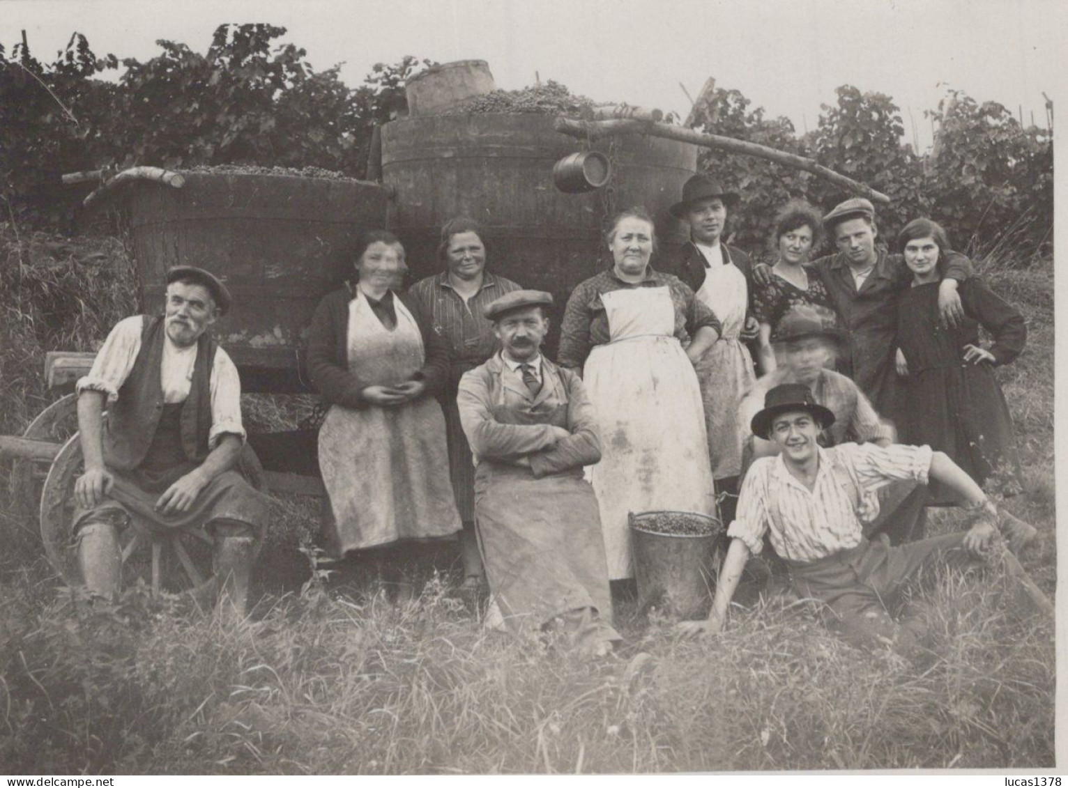 67 / MOLSHEIM  /  RARE ET TRES BELLE PHOTO VENDANGES / 27/09/1930 - Molsheim