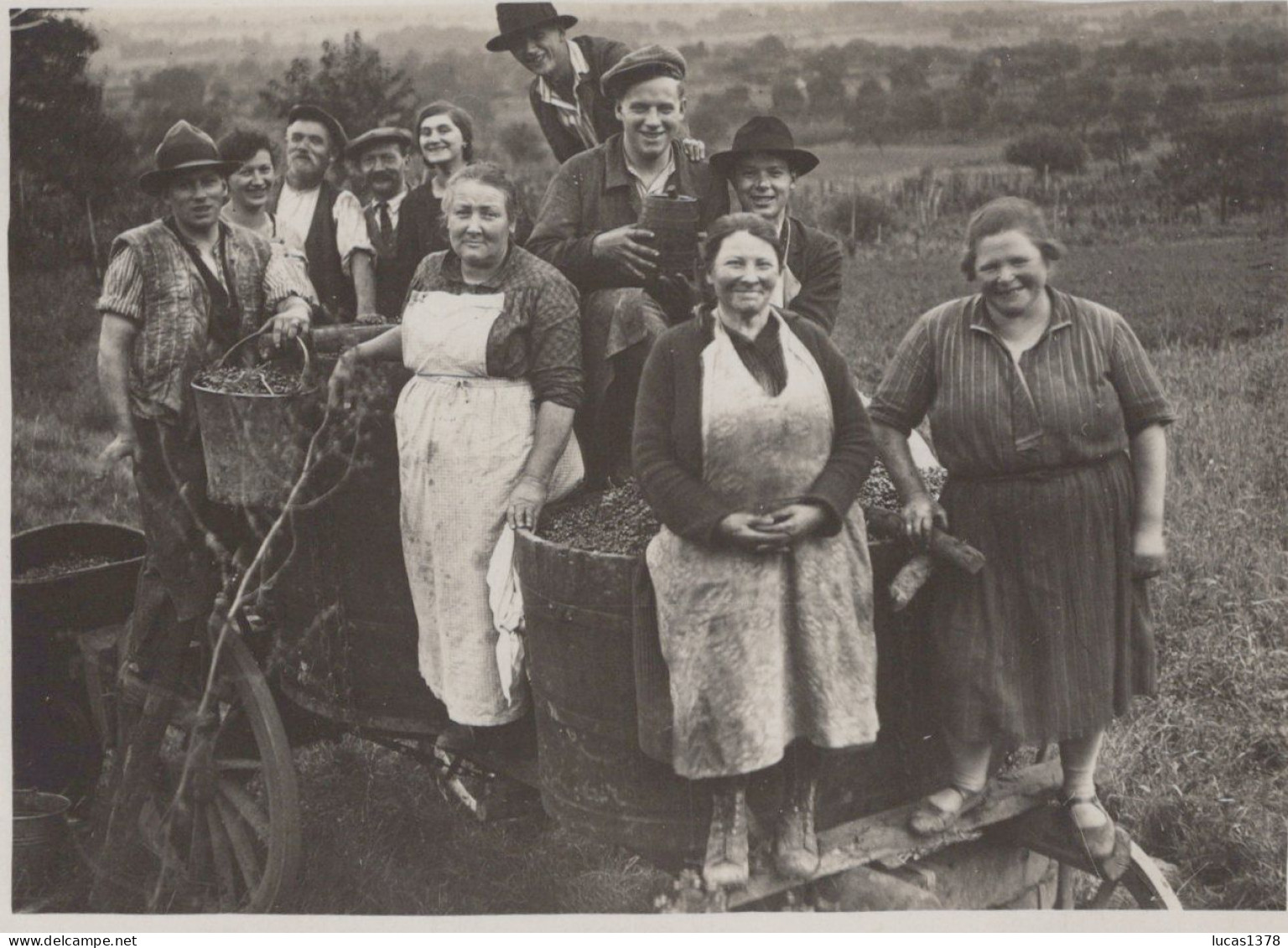 67 / MOLSHEIM  /  RARE ET TRES BELLE PHOTO VENDANGES / 27/09/1930 - Molsheim