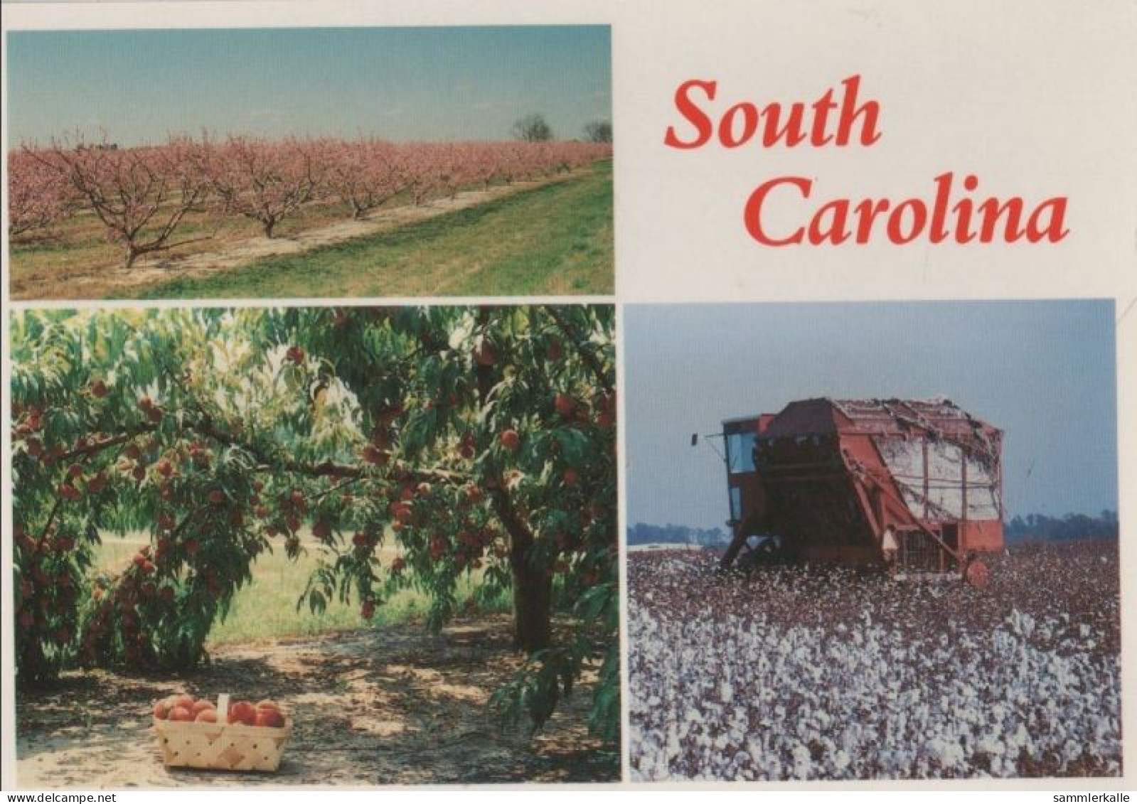 91095 - USA - South Carolina - 3 Teilbilder - Ca. 1985 - Other & Unclassified