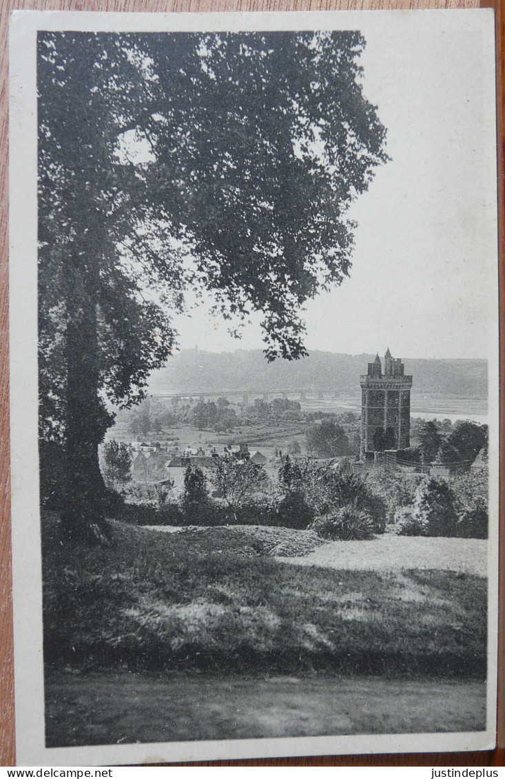 LA MI COTIERE VUE SUR LA LOIRE LA TOUR D'OUDON VUE DU PARC MICOTIERE - Oudon