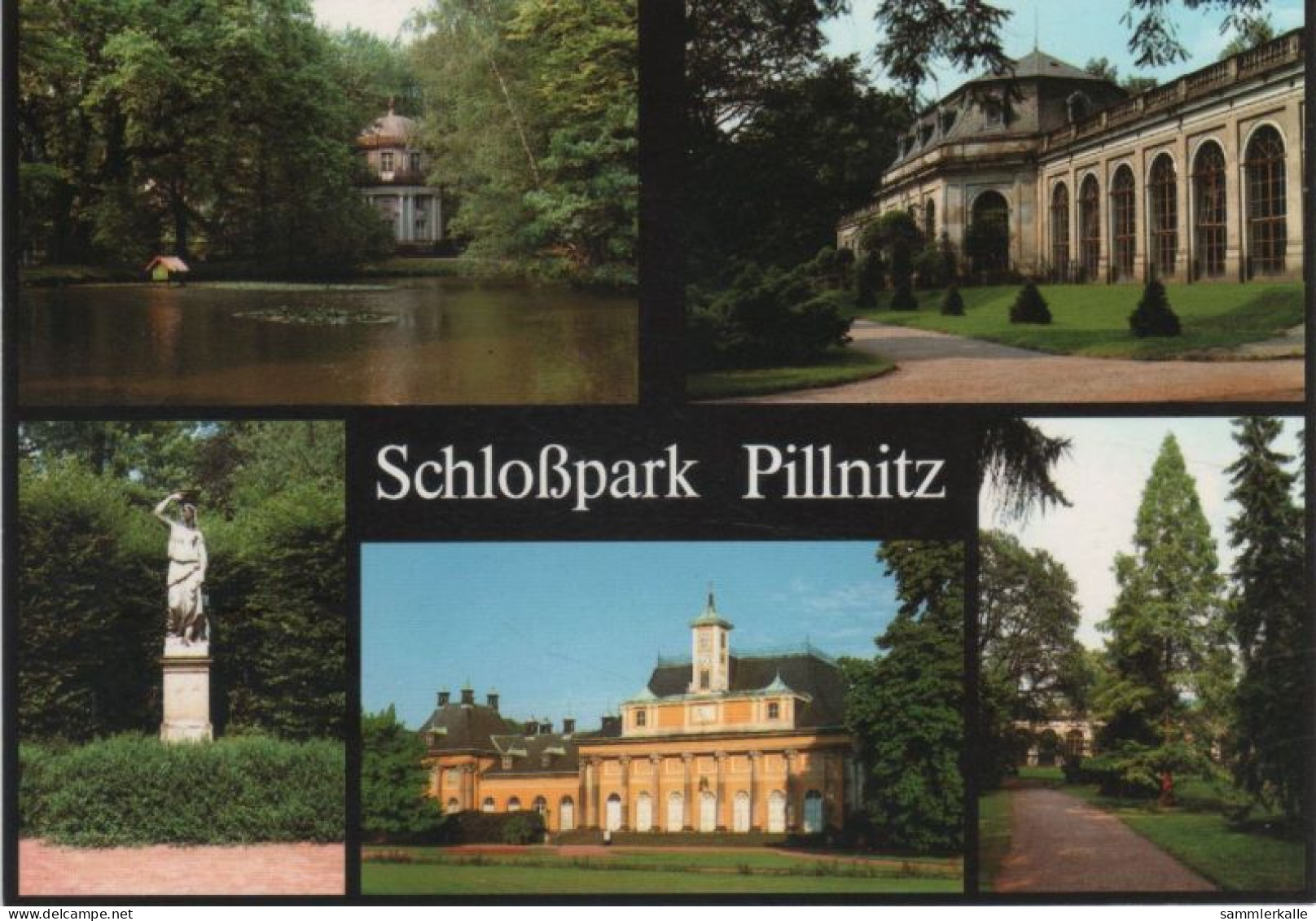 9000377 - Pillnitz (OT Von Dresden) - Schlosspark - Pillnitz