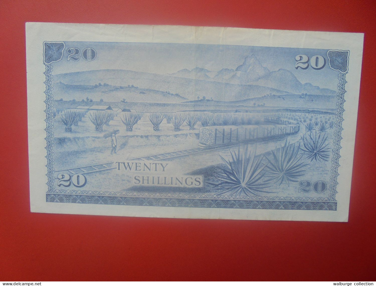 KENYA 20 SHILLINGS 1969 Circuler COTES:20-160$ (B.33) - Kenia