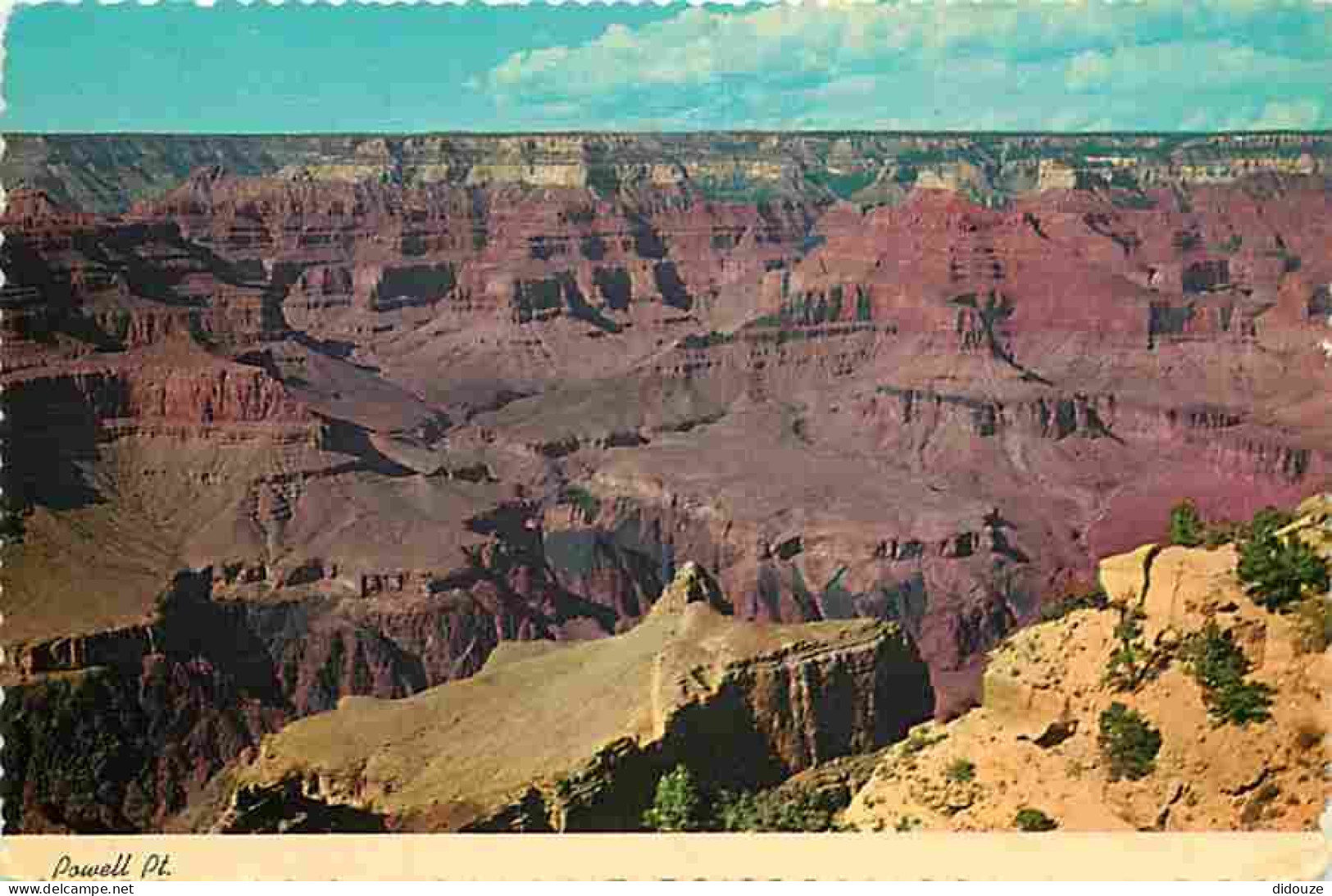 Etats Unis - Grand Canyon - Grand Canyon National Park From Powell Memorial Point - CPM - Voir Scans Recto-Verso - Grand Canyon