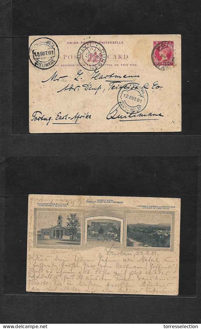 SOUTH AFRICA. 1901 (23 Aug) Natal. Point - Quelimane, Portuguese East Africa (18 Oct) Via Durban - Lourenzo Marques. 1d  - Other & Unclassified