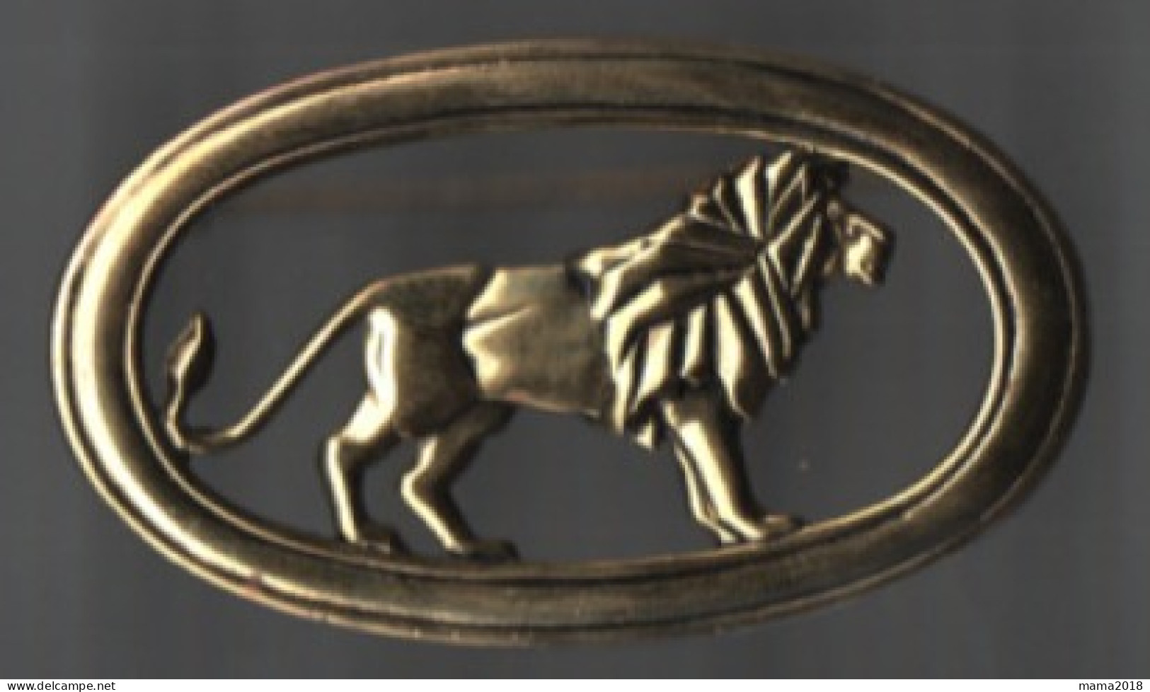 Lot 2 Broches  Métal   ( Cigale 45 Mm  X 30 Mm Et Lion  Art Déco  70 Mm  X  40 Mm ) - Broches