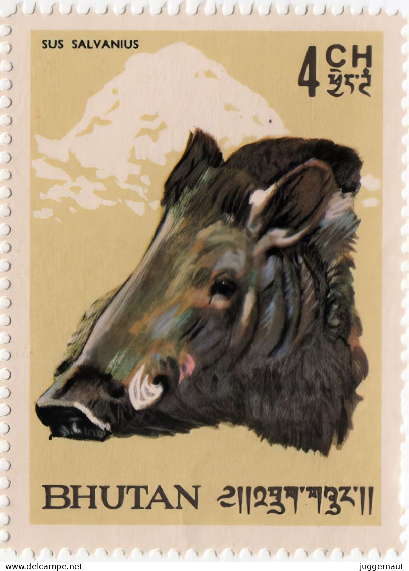 Pygmy Hog Postage Stamp 1966 Bhutan MNH - Selvaggina