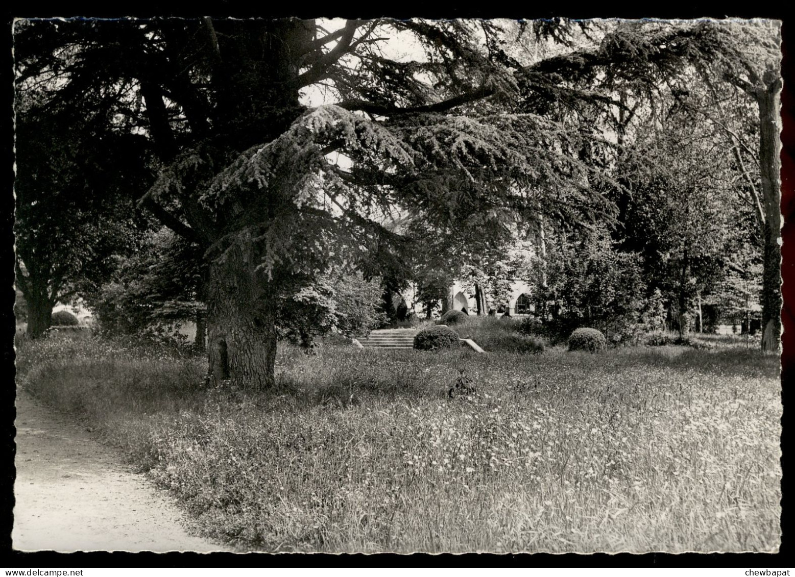 Prieuré Saint-Thomas - Epernon - Vue Du Parc - Epernon