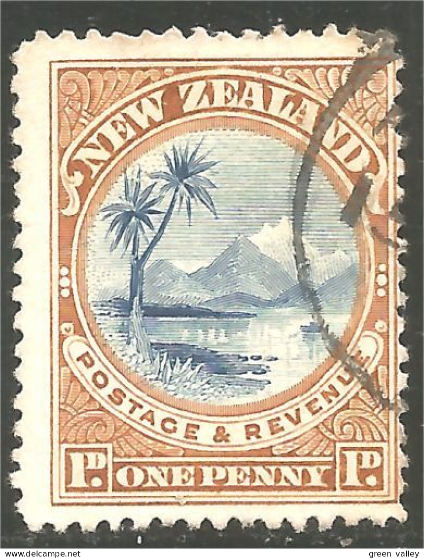 706 New Zealand 1898 Lac Lake Taupo (NZ-64) - Unused Stamps