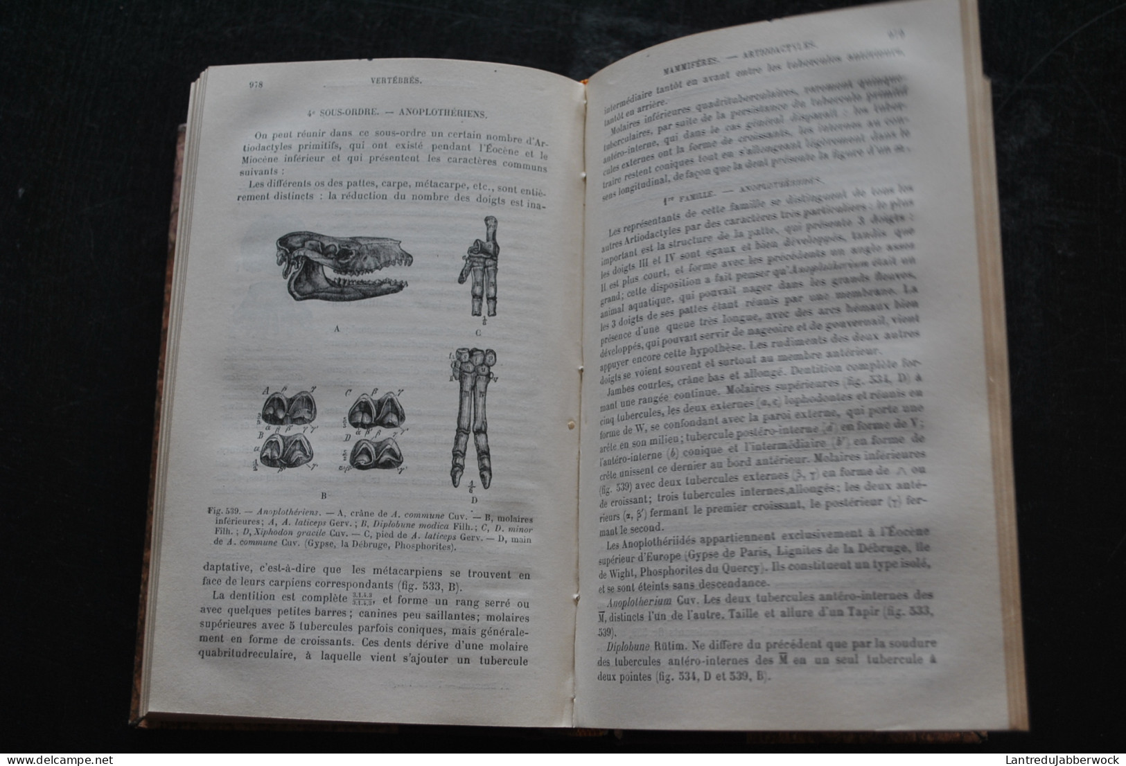 Félix BERNARD Eléments de paléontologie Librairie Baillière et Fils 1895 - 606 figures Archéologie Fossiles Préhistoire 