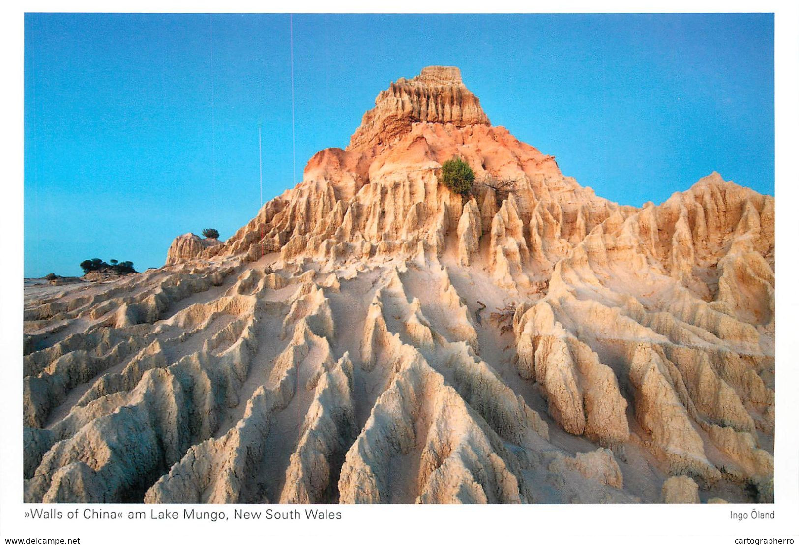 Postcard Australia New South Wales Walls Of China And Lake Mungo - Other & Unclassified