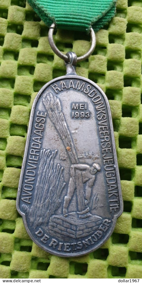 Medaille : Avondvierdaagse Raamsdonksveerse , Mei 1993 -  Original Foto  !!  Medallion  Dutch - Autres & Non Classés