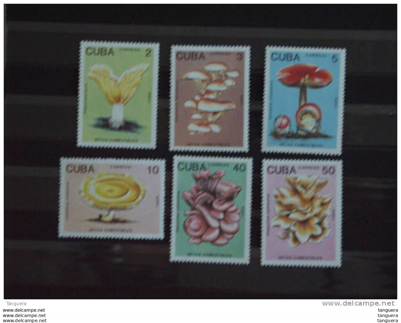 Cuba 1989 Flore Champignons Comestibles Paddestoelen Yv 2907-2912 MNH** - Ungebraucht