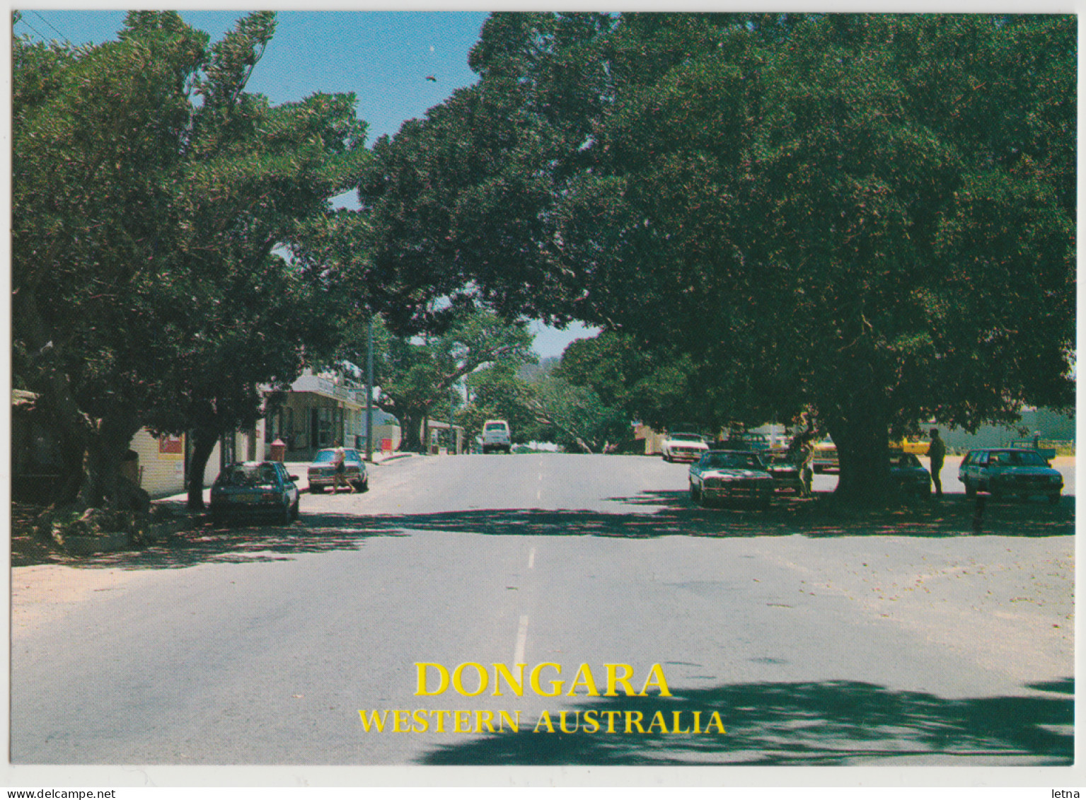 WESTERN AUSTRALIA WA Moreton Terrace Main Street DONGARA MDS Midge W6-91 Postcard C1980s - Andere & Zonder Classificatie