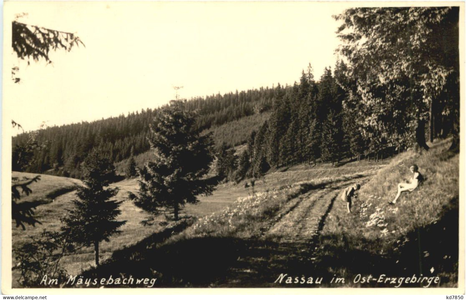 Nassau Im Ost Erzgebirge - Am Mäusebachweg - Frauenstein - Frauenstein (Erzgeb.)