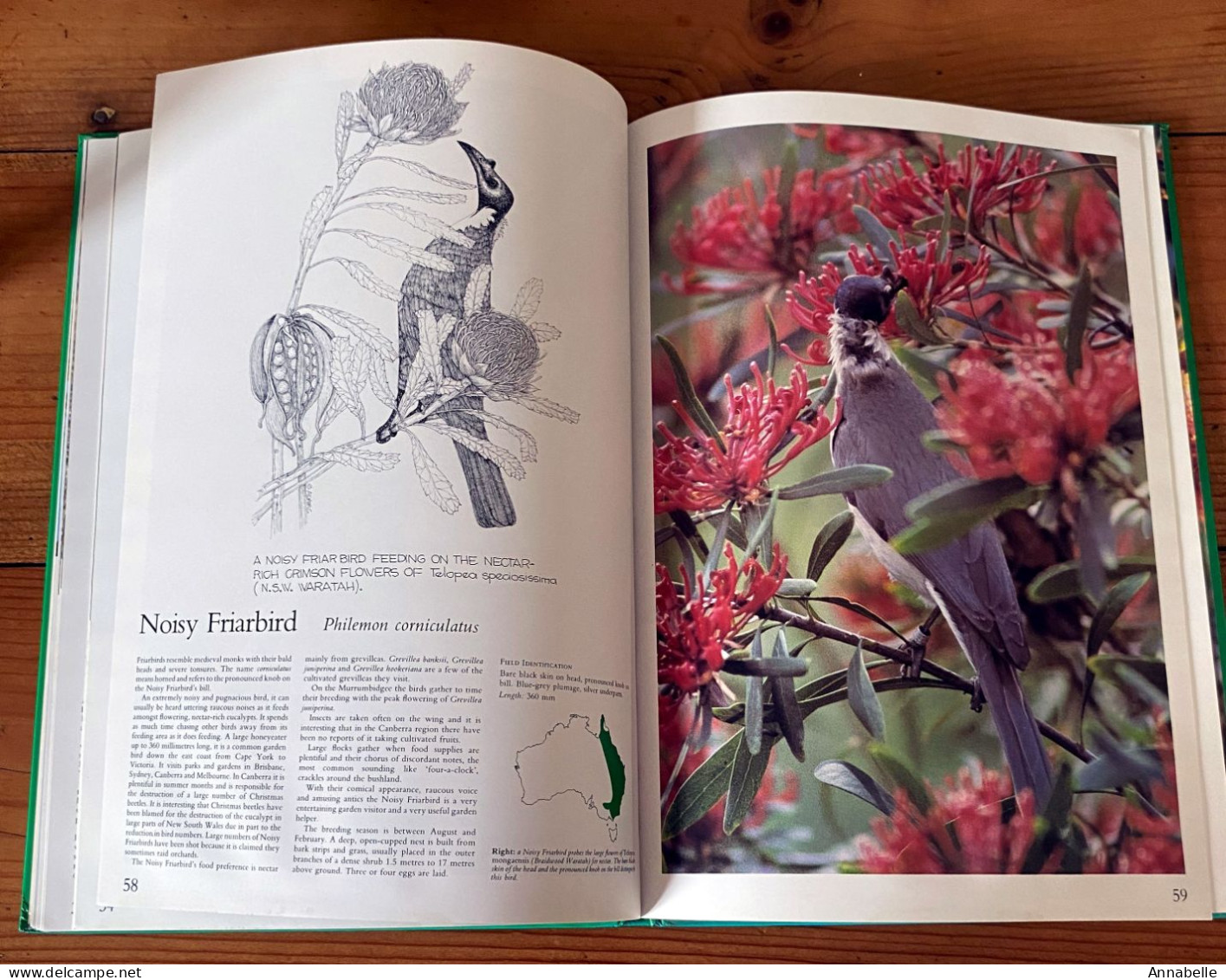 Foliage Birds : Australian Birds And Their Favoured Plants Par George Martin Adams (1981) Livre En Anglais - Pet/ Animal Care