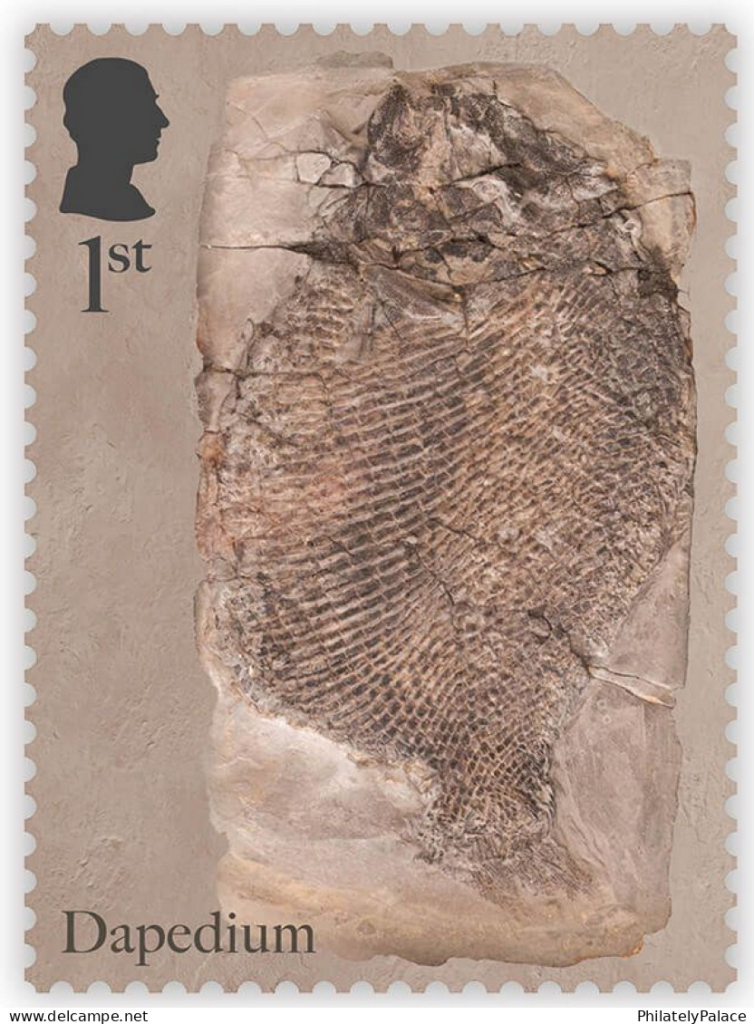 Great Britain UK, 2024, Prehistoric Animals,Mary Anning,Fossil Hunter, Natural History Museum,Set Of 4v, MS MNH (*) - Nuovi