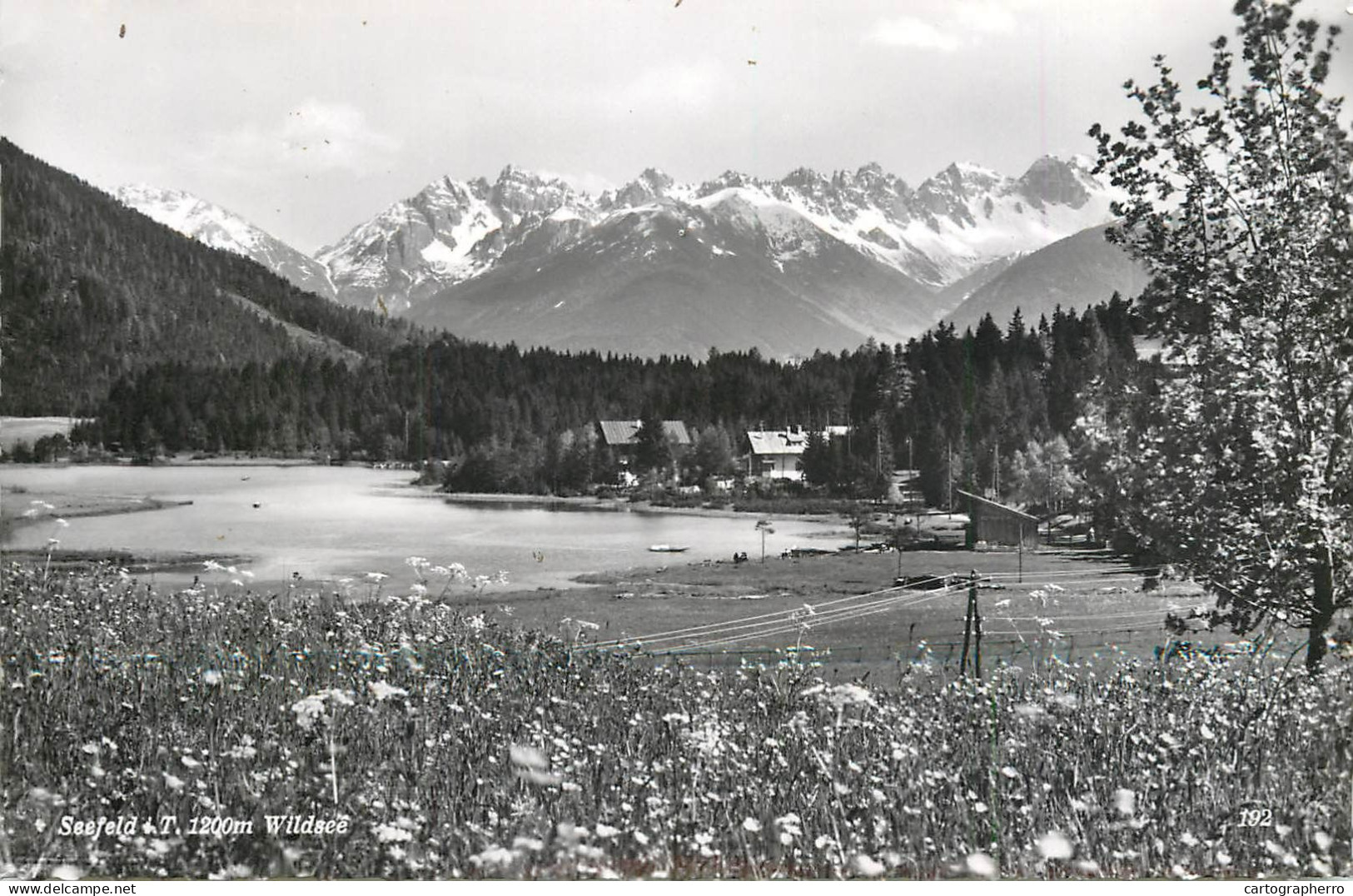 Austria Seefeld Im Tirol Wildsee - Seefeld