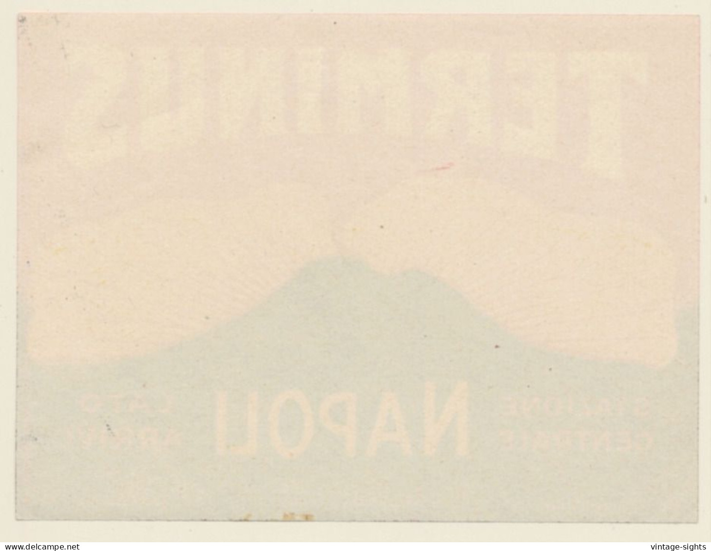 Naples / Italy: Terminus Hotel Napoli (Vintage Luggage Label RICHTER 1930s) - Hotelaufkleber