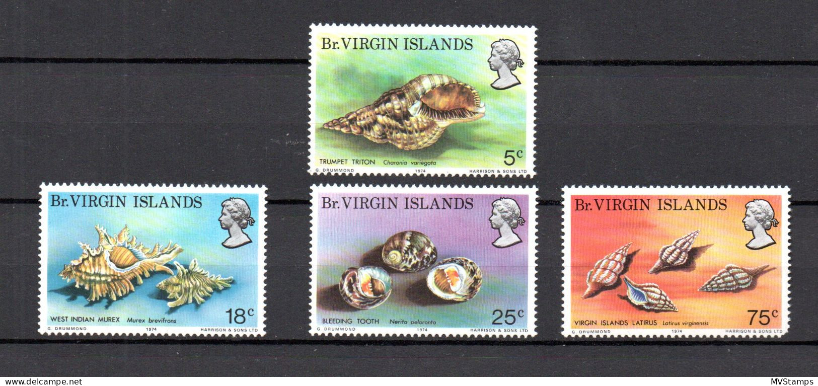 Virgin Islands 1974 Set Shells/Coral/Sealife/Marine Stamp (Michel 274/77) MNH - British Virgin Islands