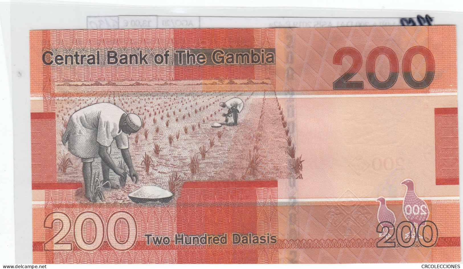 BILLETE GAMBIA 200 DALASIS 2019 P-42a SIN CIRCULAR - Other - Africa