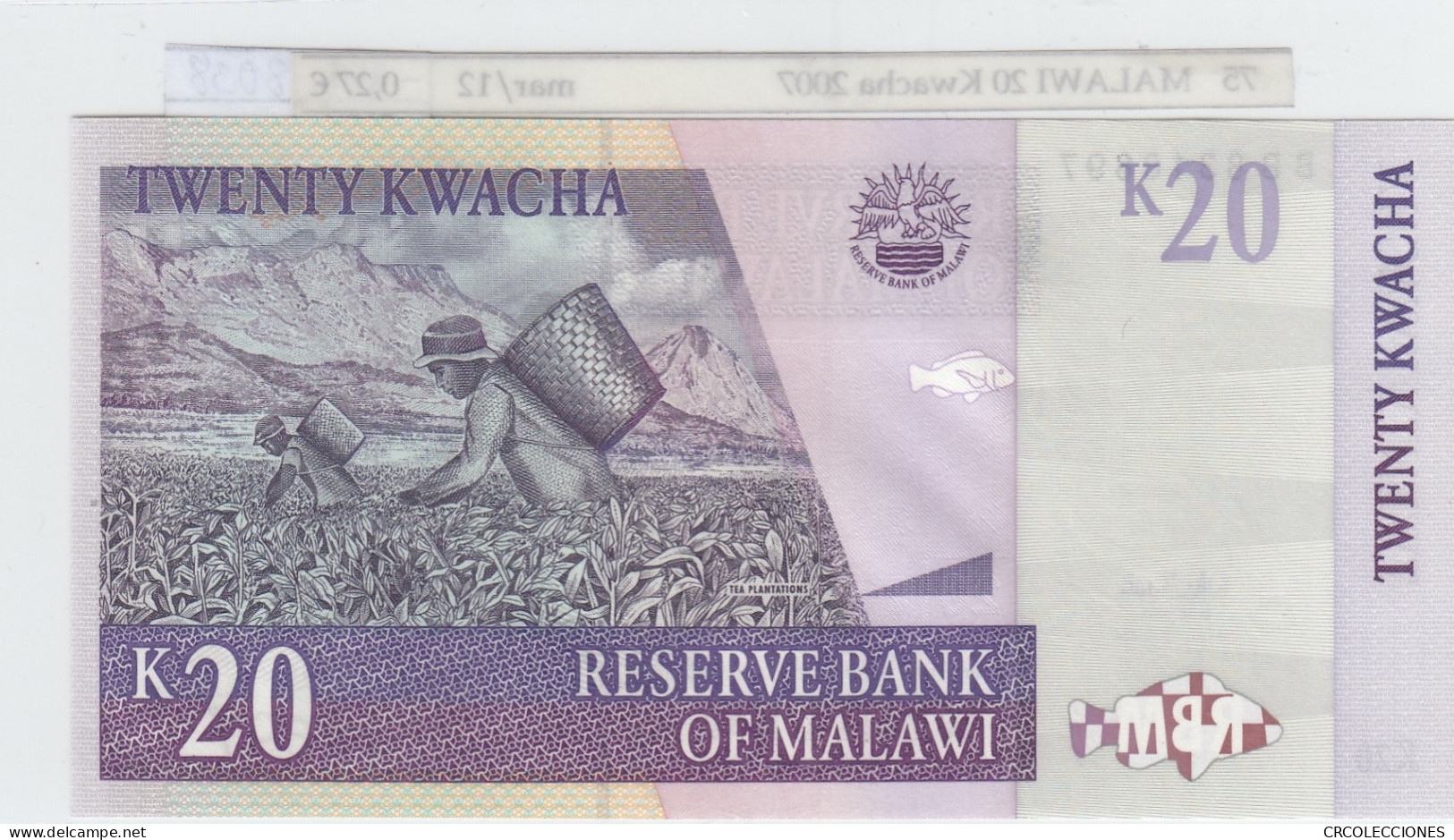 BILLETE MALAWI 20 KWACHA 2007 P-52d SIN CIRCULAR - Other - Africa