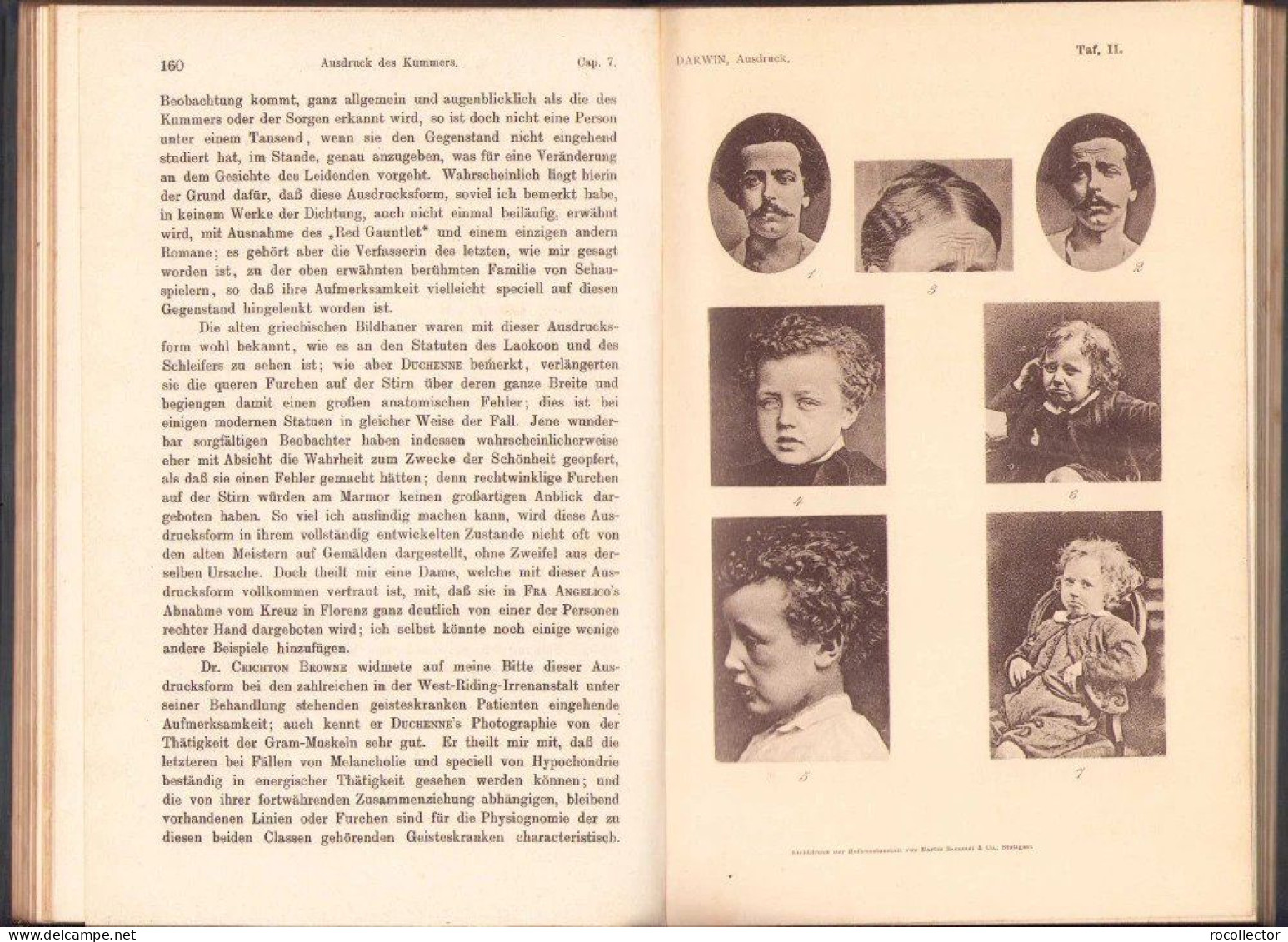 Der Ausdruck der Gemütsbewegungen bei dem Menschen und den Tieren von Charles Darwin, 1908, Stuttgart 318SP