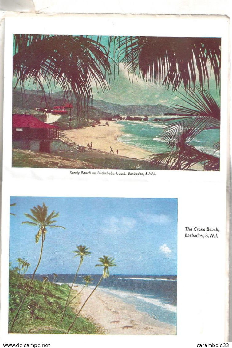 BARBADOS   BRITISH WEST INDIES Bon état  Photos  Enveloppe Legerement Déchirée (1485) - America