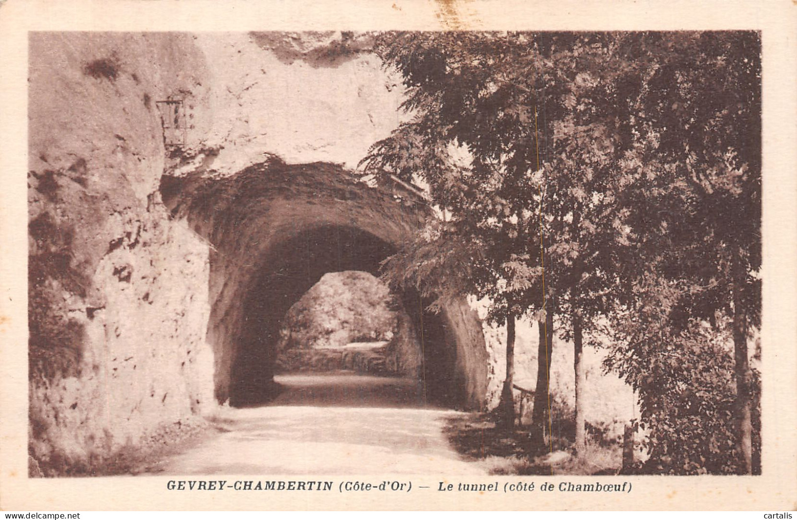 21-GEVREY CHAMBERTIN-N°4487-D/0257 - Gevrey Chambertin