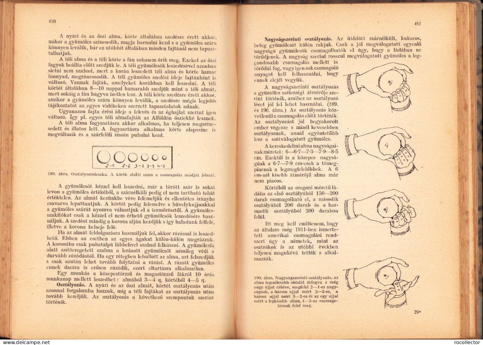 A gyümölcstermesztés kézikönyve irta Mohácsy Mátyás 1936 687SPN