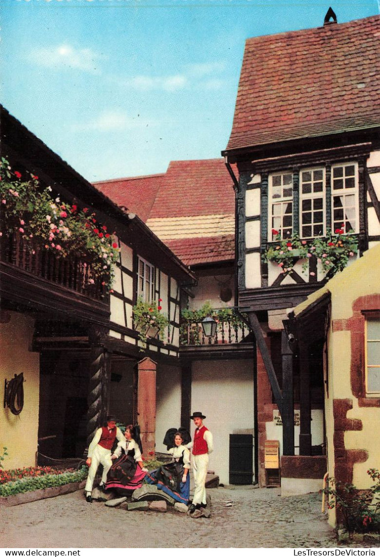 FRANCE - Couleurs Et Folklores D'Alsace - La Cour Des Cigognes à Riquewihr - Animé - Carte Postale Ancienne - Riquewihr