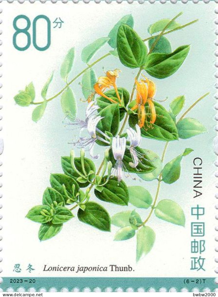 China 2023-20, Medicinal Plants （Third）《药用植物三》 - Nuevos