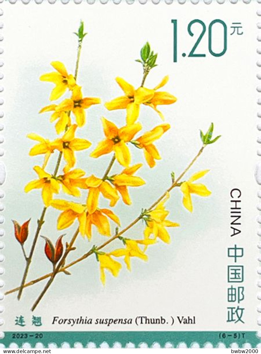 China 2023-20, Medicinal Plants （Third）《药用植物三》 - Nuevos