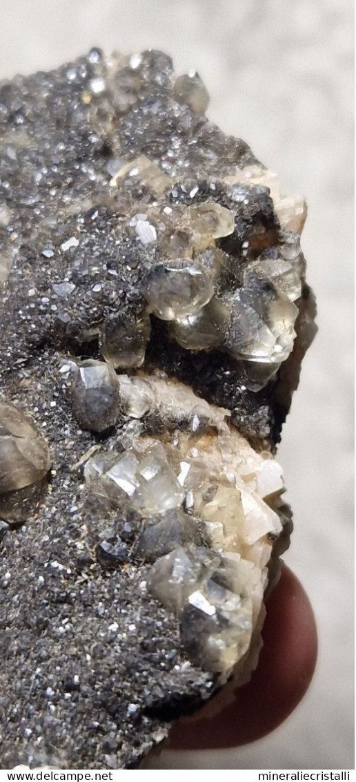 Ematite Minerale@ Ematite Calcite Cristalli Stahlberg Mt-Rimbach Pres Masevaux francia