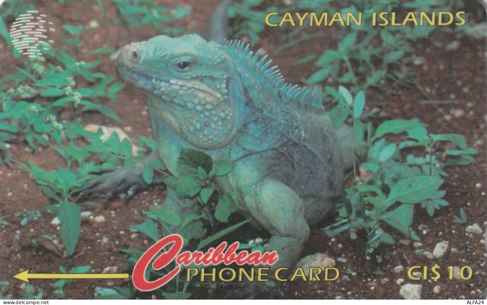 PHONE CARD CAYMAN ISLANDS  (E51.6.7 - Isole Caiman