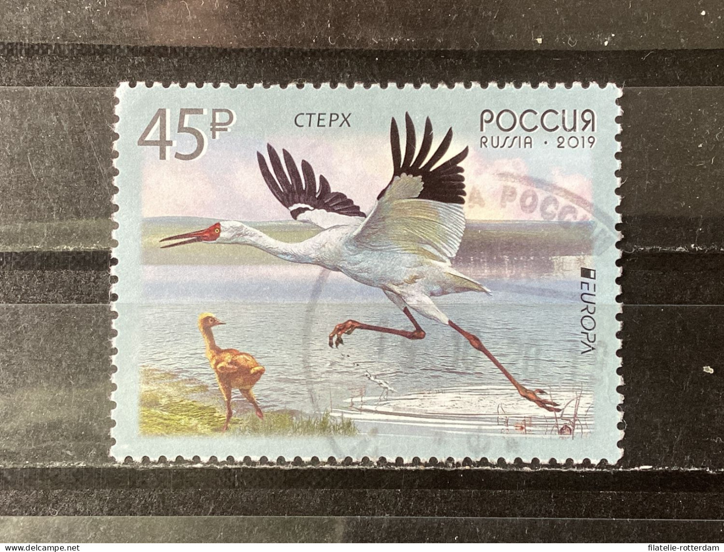 Russia / Rusland - Birds (45) 2019 - Used Stamps