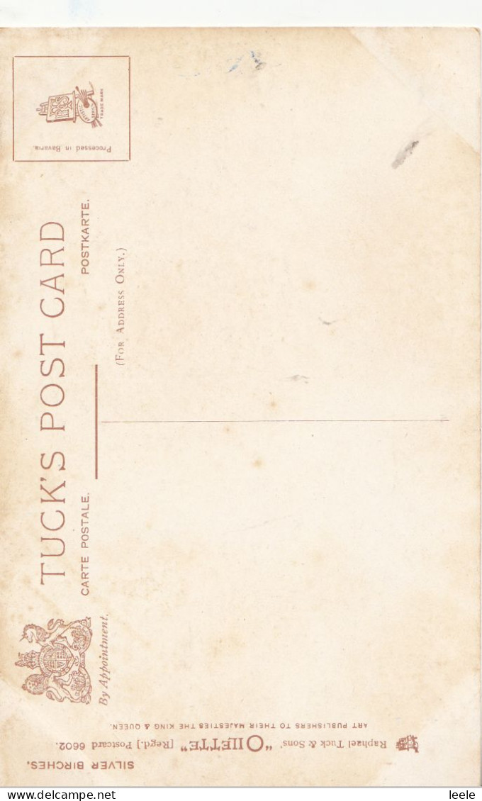 CO69. Vintage Tucks Postcard. Silver Birches. The Last Smiles Of Autumn. J Thomson - Bäume