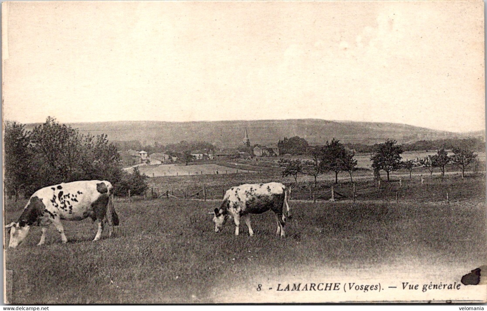 20142 Cpa 88 Lamarche - Vue Générale - Lamarche